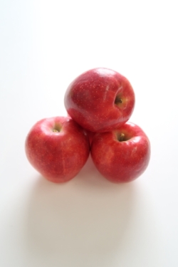 収穫された「紅鶴」の写真 収穫された「紅鶴」の写真