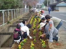 景観形成活動の様子写真 景観形成活動の様子写真