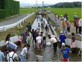 農業用水路の生き物調べ（中村堰土地改良区）写真