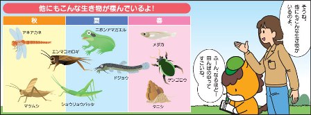 どろんっ子新聞7－１５