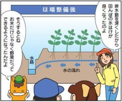 ほ場整備後の断面図：画像