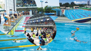 水泳競技をする人々の画像