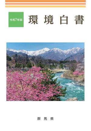 R7環境白書