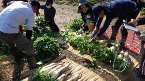 出荷準備の様子の写真