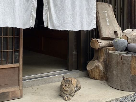 南牧村の古民家占い Mattyの古民家 小林真奈さん(2)