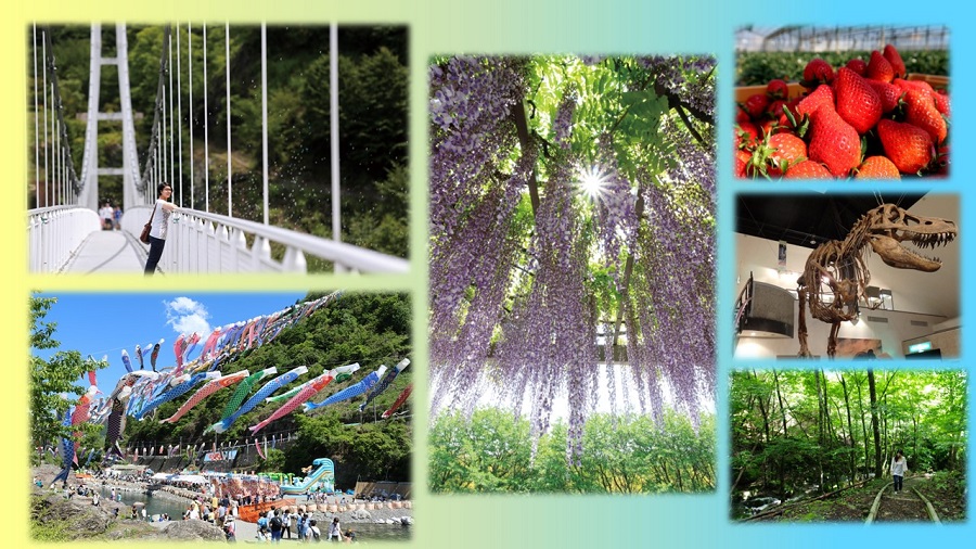 多野藤岡地域のPR画像