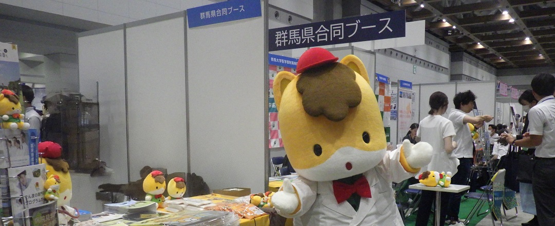 ぐんまの医師確保のタイトル画像